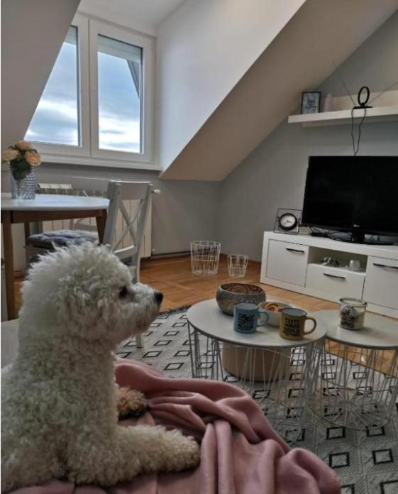 Apartman Jela Nova Varoš 외부 사진